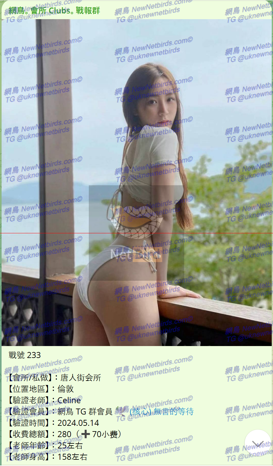 戰號 233 1.png